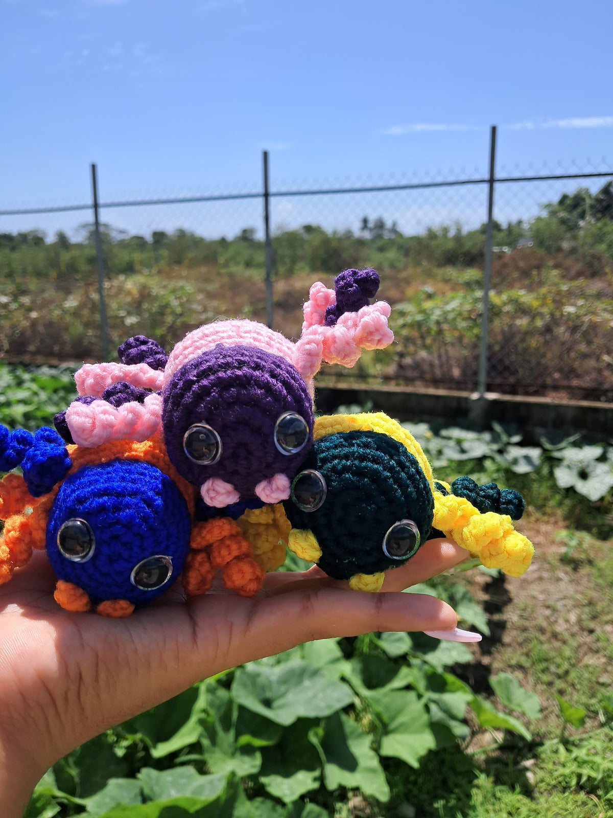 Animal Friends