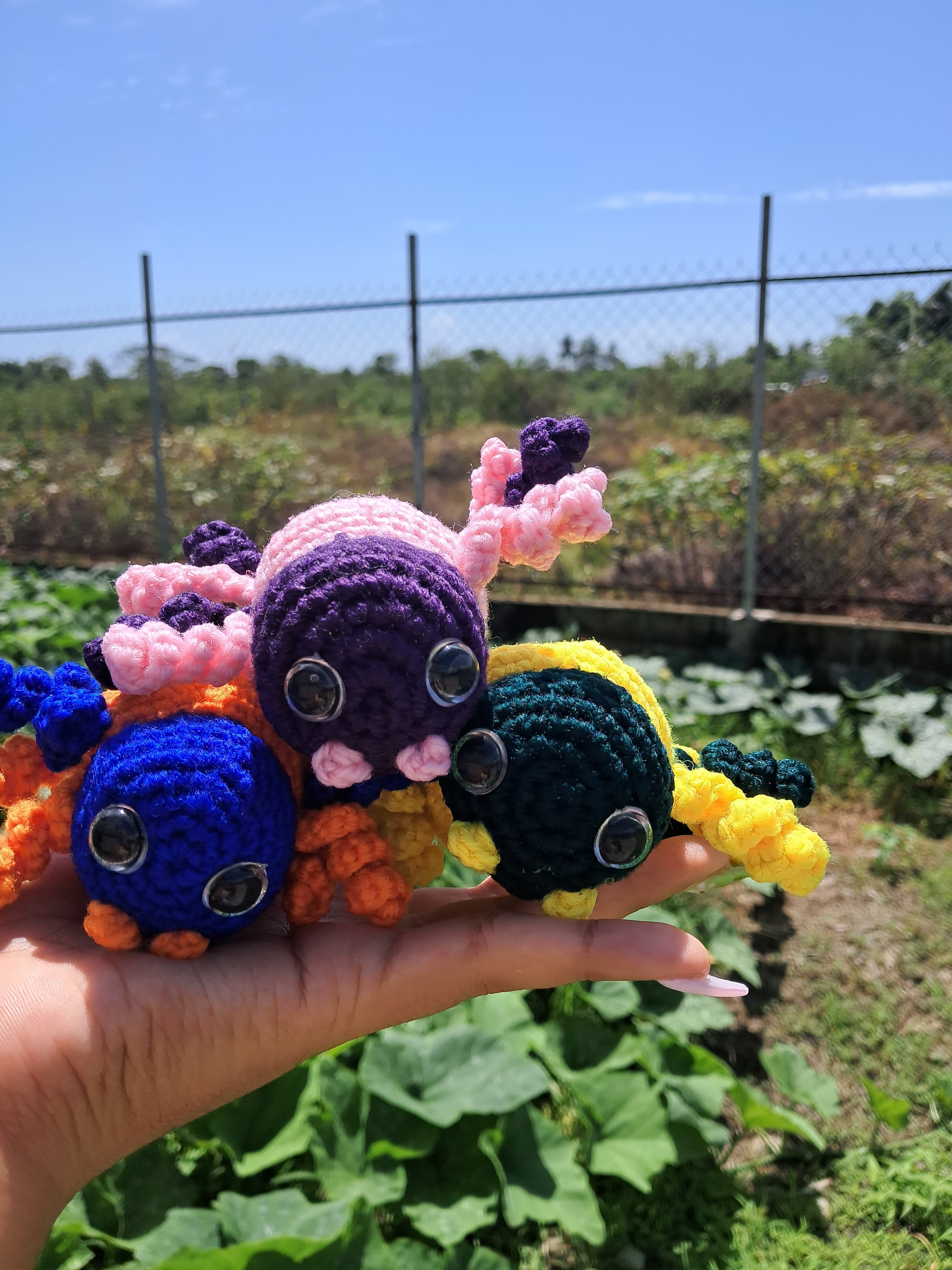 Animal Friends