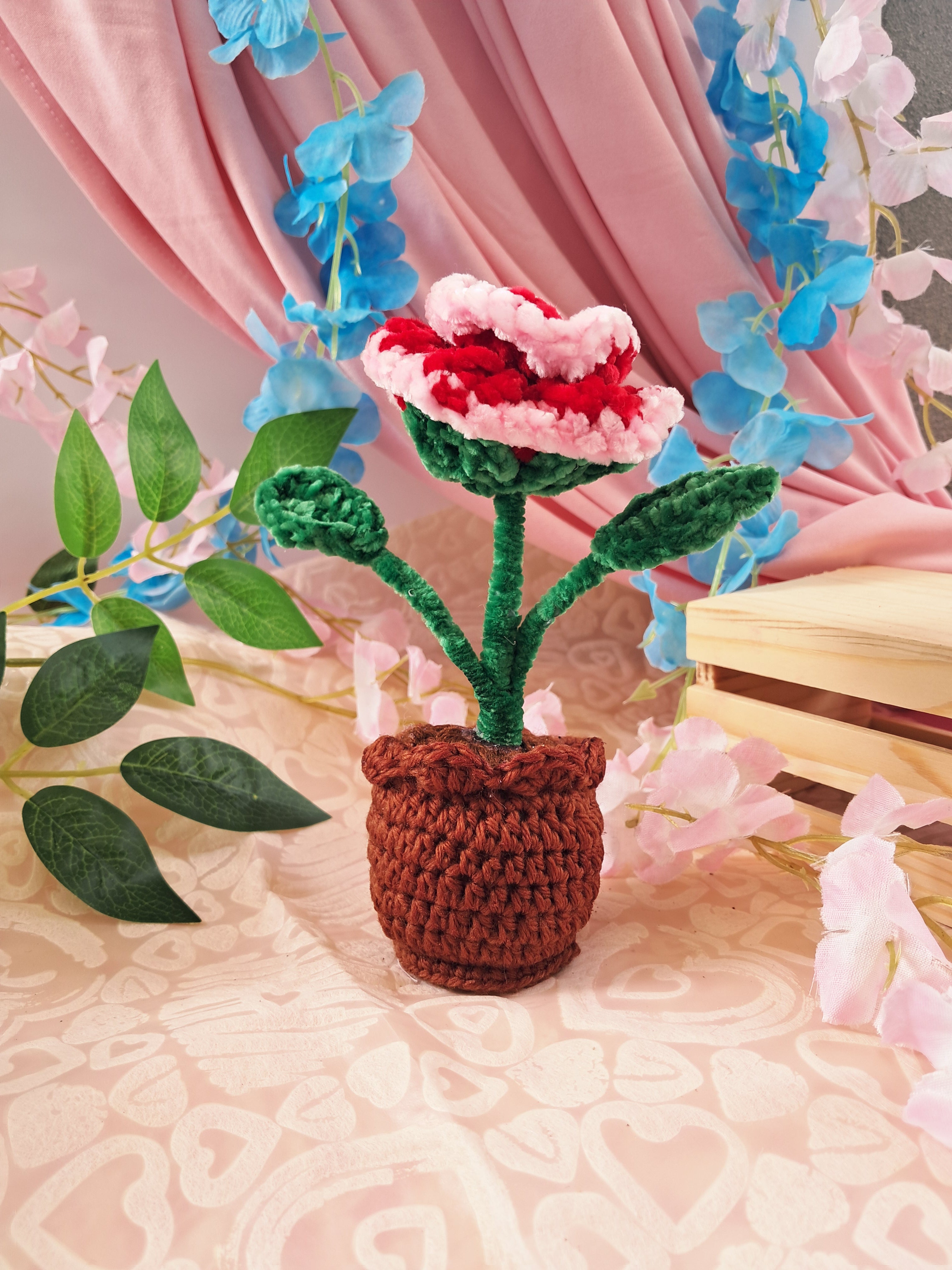Mini Potted Flowers