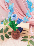 Mini Potted Flowers
